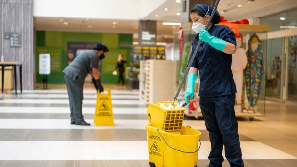Showroom Regular Cleaner