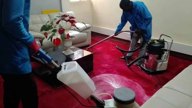 Regular House Cleaner
