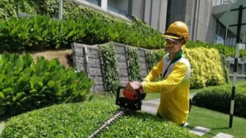 Gardener Supply